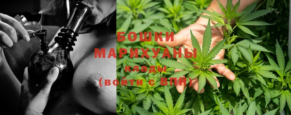 гидра Кукмор