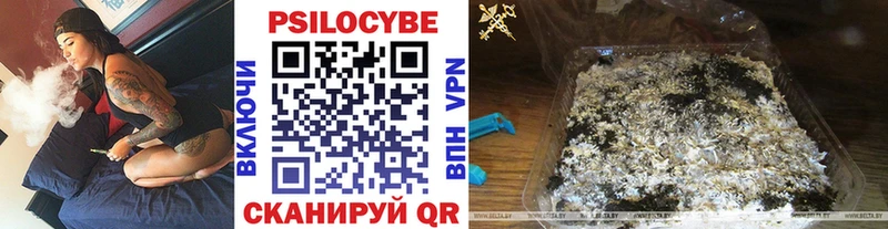 Купить закладки  Усть-Катав  Псилоцибиновые грибы GOLDEN TEACHER 